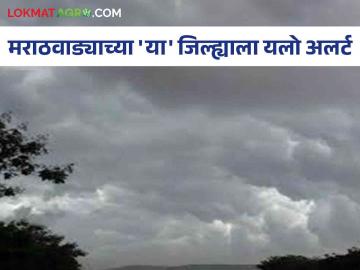 Rain Alert : मराठवाड्याच्या 'या' जिल्ह्यात यलो अलर्ट; सोसाट्याच्या वाऱ्यासह मुसळधार पावसाची शक्यता - Marathi News | Rain Alert : Yellow Alert in 'this' district of Marathwada; Chance of heavy rain with gusty winds | Latest News at Lokmat.com