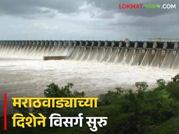 Water Release नाशिकचं पाणी निघालं मराठवाड्याच्या दिशेने; वाचा नाशिक मधून होणार्या विसर्गाची अद्यावत माहिती - Marathi News | Water Discharge Nashik's water went towards Marathwada; Read Discharge Updates from Nashik | Latest News at Lokmat.com Water Release नाशिकचं पाणी निघालं मराठवाड्याच्या दिशेने; वाचा नाशिक मधून होणार्या विसर्गाची अद्यावत माहिती - Marathi News | Water Discharge Nashik's water went towards Marathwada; Read Discharge Updates from Nashik | Latest News at Lokmat.com