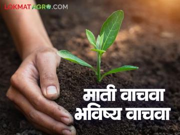 निरोगी भविष्यासाठी गरजेची निरोगी माती; जागतिक मृदा दिन २०२५ विशेष - Marathi News | Healthy soil essential for a healthy future; World Soil Day 2025 special | Latest News at Lokmat.com