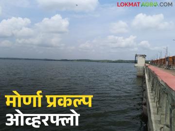 पातुर तालुक्यातील मोर्णा प्रकल्प ओव्हरफ्लो; सांडव्यावरून विसर्ग सुरू - Marathi News | Morna project in Patur taluka overflows; Discharge from sewage begins | Latest News at Lokmat.com पातुर तालुक्यातील मोर्णा प्रकल्प ओव्हरफ्लो; सांडव्यावरून विसर्ग सुरू - Marathi News | Morna project in Patur taluka overflows; Discharge from sewage begins | Latest News at Lokmat.com