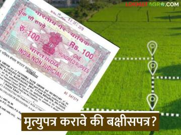 मृत्युपत्र करावे की बक्षीसपत्र; नक्की फायद्याचे काय? जाणून घ्या सविस्तर - Marathi News | Will or gift certificate; what is the real benefit? Find out in detail | Latest News at Lokmat.com