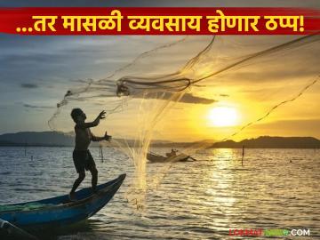 डिझेल दरवाढीचा मच्छीमारांना मोठा फटका; प्रती ट्रिप ४२ हजारांचा वाढला बोजा - Marathi News | Diesel price hike hits fishermen hard; burden increases by Rs 42,000 per trip | Latest News at Lokmat.com