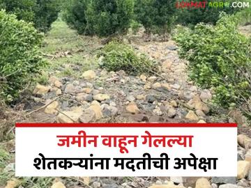 अतिवृष्टीत जमीन वाहून गेलल्या शेतकऱ्यांना अद्यापही मदत मिळेना; पदरी प्रतीक्षाच - Marathi News | Farmers whose land was washed away in heavy rains have not received any help yet; they are still waiting. | Latest News at Lokmat.com