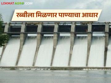 Dam Water Level Maharashtra : सप्टेंबरच्या पावसाने लघु प्रकल्प तुडुंब; रब्बी हंगामाला येणार गती वाचा सविस्तर - Marathi News | latest news Dam Water Level Maharashtra: Small projects damaged by September rains; Rabi season will gain momentum Read in detail | Latest News at Lokmat.com