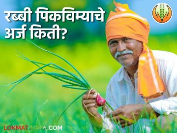Pik Vima 2024 :रब्बी पीक विमा अर्जात 'हा' जिल्हा आघाडीवर, तुमच्या जिल्ह्यातून किती अर्ज?  - Marathi News | Latest News Parbhani District Leads In Rabi Crop Insurance Applications, see district wise Application | Latest News at Lokmat.com
