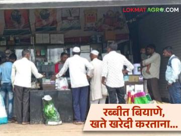 Rabbi Season : रब्बी हंगामासाठी बियाणे, खत खरेदी करताना अशी घ्या काळजी, वाचा सविस्तर  - Marathi News | Latest News Agriculture News Take care while buying seeds and fertilizers for Rabi season, read in detail  | Latest News at Lokmat.com