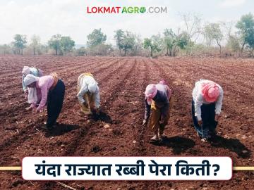 Rabi seasons 2024 : मुबलक पाण्यामुळे राज्यात 'इतके' लाख हेक्टरने वाढले रब्बीचे क्षेत्र - Marathi News | Rabi seasons 2024 : Rabi area increased by 'so many' lakh hectares in the state due to abundant water | Latest News at Lokmat.com
