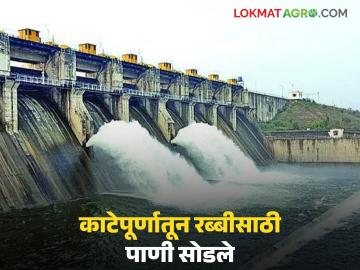 Katepurna Dam : रब्बी पिकांना दिलासा; काटेपूर्णा धरणातून पाणी सोडण्यास प्रारंभ - Marathi News | latest news Katepurna Dam: Relief for Rabi crops; Water release from Katepurna Dam begins | Latest News at Lokmat.com Katepurna Dam : रब्बी पिकांना दिलासा; काटेपूर्णा धरणातून पाणी सोडण्यास प्रारंभ - Marathi News | latest news Katepurna Dam: Relief for Rabi crops; Water release from Katepurna Dam begins | Latest News at Lokmat.com