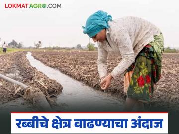 Agriculture News : रब्बी क्षेत्र 10 लाख हेक्टरने वाढण्याचा अंदाज; कृषिमंत्री दत्ता भरणे काय म्हणाले? - Marathi News | Latest news Rabi area estimated to increase by 1 million hectares says Agriculture ministre bharne | Latest News at Lokmat.com Agriculture News : रब्बी क्षेत्र 10 लाख हेक्टरने वाढण्याचा अंदाज; कृषिमंत्री दत्ता भरणे काय म्हणाले? - Marathi News | Latest news Rabi area estimated to increase by 1 million hectares says Agriculture ministre bharne | Latest News at Lokmat.com