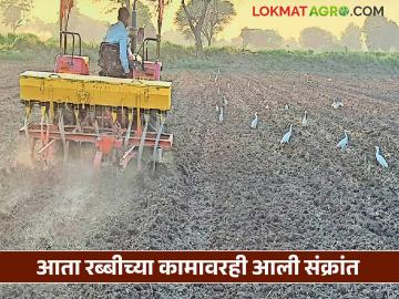 Unseasonal rain impact on Rabi crops : अख्खा खरीप वाहून गेला; आता रब्बी हंगामावरही संकट वाचा सविस्तर - Marathi News | latest news Unseasonal rain impact on Rabi crops: Entire Kharif washed away; Now Rabi season also in crisis Read in detail | Latest News at Lokmat.com