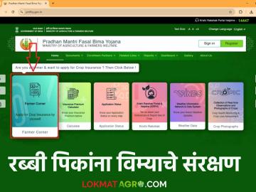 Pik Vima Yojana : शेतकऱ्यांनो रब्बी पिक विमा अर्ज प्रक्रिया झाली सुरू ; ही आहे शेवटची तारिख वाचा सविस्तर - Marathi News | Pik Vima Yojana : Farmers Rabi crop Insurance application process has started; Here is the last date read in detail | Latest News at Lokmat.com