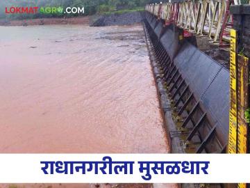 कोल्हापूरात धरण क्षेत्रात धुवाधार, जाणून घ्या मोठ्या धरणांतील पाणीसाठा - Marathi News | Heavy Rain Dam area in Kolhapur, know the water storage in big dams | Latest News at Lokmat.com