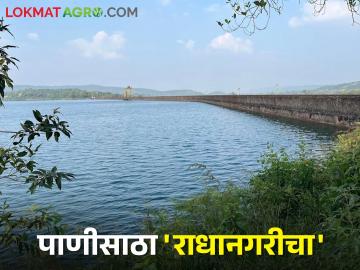 धरणांचा तालुका म्हणून ओळखल्या जाणाऱ्या राधानगरीत उरले किती पाणी - Marathi News | How much water is left in Radhanagari, which is known as the taluka of dams | Latest News at Lokmat.com