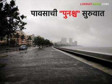 Maharashtra Rain Update: काही दिवसांच्या ब्रेकनंतर पावसाचा दमदार आगमन;  उजनी, गंगापूरसह अनेक धरणांतून विसर्ग - Marathi News | Maharashtra Rain Update: Heavy arrival of rains after break of few days;  Discharge from many dams including Ujani, Gangapur | Latest News at Lokmat.com