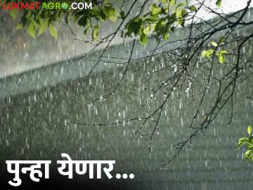 Maharashtra Weather Update: आजपासून राज्यात पुन्हा सक्रिय होणार पाऊस, कुठे कुठला अलर्ट - Marathi News | Maharashtra Weather Update: Rain will be active again in the state from today, where and what alert | Latest News at Lokmat.com