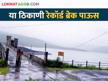 Maharashtra Heavy Rainfall सांगली जिल्ह्यात या ठिकाणी आज अखेर १ हजार ८१ मिलिमीटर पावसाची नोंद - Marathi News | Maharashtra Heavy Rainfall: In Sangli district, 1 thousand 81 mm rainfall was recorded at this place till today | Latest News at Lokmat.com