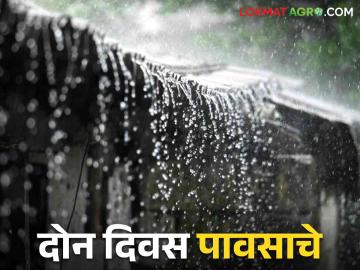 Maharashtra Weather Update : हवामान विभागाचा अंदाज पुढील दोन दिवस मध्यम ते मुसळधार पावसाची शक्यता - Marathi News | Maharashtra Weather Update : Meteorological department predicts moderate to heavy rain for the next two days | Latest News at Lokmat.com Maharashtra Weather Update : हवामान विभागाचा अंदाज पुढील दोन दिवस मध्यम ते मुसळधार पावसाची शक्यता - Marathi News | Maharashtra Weather Update : Meteorological department predicts moderate to heavy rain for the next two days | Latest News at Lokmat.com