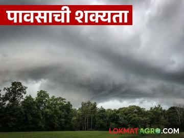 तापमानात किंचित घसरण; पुढील चार ते पाच दिवस 'या' भागांत मेघगर्जनेसह पावसाची शक्यता - Marathi News | Slight drop in temperature; Chance of rain with thunder in these areas for the next four to five days | Latest News at Lokmat.com