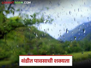 हवामानात बदल होणार; राज्यातील 'या' भागात थंडी कमी होऊन पाऊस पडण्याची शक्यता - Marathi News | Weather will change; Cold will ease and rain is likely in 'these' parts of the state | Latest weather News at Lokmat.com