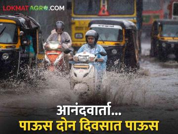 Weather Update Maharashtra राज्यात पुढील चार दिवसात या जिल्ह्यात मुसळधार - Marathi News | Weather Update In the state of Maharashtra, there will be heavy rain in the next four days in this district | Latest News at Lokmat.com
