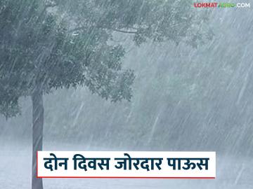 Maharashtra Rain : महाराष्ट्रातील 'या' भागात उद्या आणि परवा अति जोरदार पाऊस, वाचा सविस्तर - Marathi News | Latest news Maharashtra Rain Very heavy rain in Maharashtra tomorrow and the day after, read in detail | Latest News at Lokmat.com Maharashtra Rain : महाराष्ट्रातील 'या' भागात उद्या आणि परवा अति जोरदार पाऊस, वाचा सविस्तर - Marathi News | Latest news Maharashtra Rain Very heavy rain in Maharashtra tomorrow and the day after, read in detail | Latest News at Lokmat.com