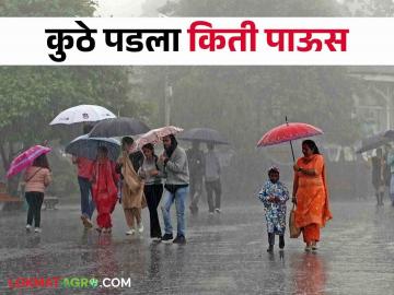 Maharashtra Rainfall राज्यातील १४ जिल्ह्यांत सरासरीपेक्षा कमी पाऊस - Marathi News | Maharashtra Rainfall: Below average rainfall in 14 districts of the state | Latest News at Lokmat.com
