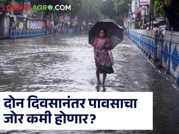 Maharashtra Monsoon Update : राज्यातील 'या' जिल्ह्यात मान्सूनचा जोर कमी होण्याची शक्यता, वाचा सविस्तर  - Marathi News | Latest News Monsoon rainfall will decrease in 29 districts of Maharashtra check here details | Latest News at Lokmat.com