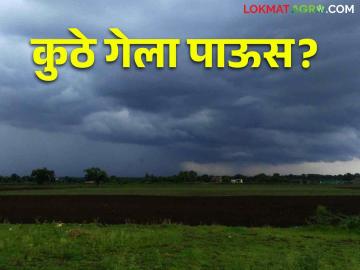 Weather Update ढगांची गर्दी दिसते; पण पाऊस का पडत नाही? - Marathi News | Weather Update: Sees a rush of clouds; But why is it not raining? | Latest News at Lokmat.com