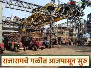 कोल्हापूर जिल्ह्यातील राजाराम कारखान्याचा गळीत हंगाम आजपासून सुरु; यंदा उसाला किती देणार दर? - Marathi News | The crushing season of Rajaram Factory in Kolhapur district starts from today; How much will the sugarcane price be this year? | Latest News at Lokmat.com कोल्हापूर जिल्ह्यातील राजाराम कारखान्याचा गळीत हंगाम आजपासून सुरु; यंदा उसाला किती देणार दर? - Marathi News | The crushing season of Rajaram Factory in Kolhapur district starts from today; How much will the sugarcane price be this year? | Latest News at Lokmat.com