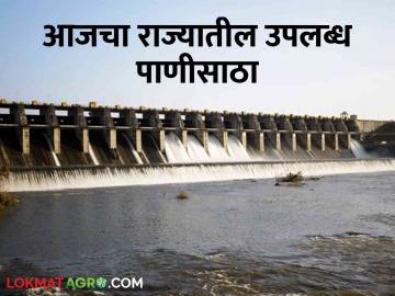 Maharashtra Dam Storage : राज्यात जूनच्या शेवटच्या आठवड्यात कुठल्या धरणात किती पाणी? वाचा सविस्तर  - Marathi News | Latest News Available water storage in dams in maharashtra in june last week | Latest News at Lokmat.com