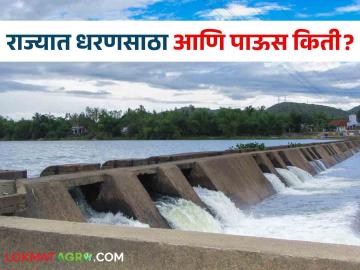 Dam Storage : राज्यातील कुठल्या धरणांत किती पाणी? जाणून घ्या सविस्तर - Marathi News | Latest News How much water in maharashtra dams Know in detail | Latest News at Lokmat.com