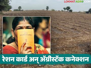 तुमच्या नावावर एवढी जमीन असल्यास रेशन होणार बंद, उत्पन्नाचीही मर्यादा, काय आहे नवीन मोहीम - Marathi News | Latest news ration Card Ration will be stopped if the land is more than 2.5 acres | Latest News at Lokmat.com तुमच्या नावावर एवढी जमीन असल्यास रेशन होणार बंद, उत्पन्नाचीही मर्यादा, काय आहे नवीन मोहीम - Marathi News | Latest news ration Card Ration will be stopped if the land is more than 2.5 acres | Latest News at Lokmat.com