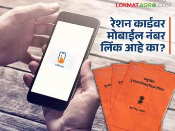 Ration Card Mobile Number Update : दुकानात रेशन आलं तर मेसेज येणार; तुम्ही मोबाइल नंबर अपडेट केला का? - Marathi News | Ration Card Mobile Number Update: Have you updated your mobile number with ration card | Latest News at Lokmat.com