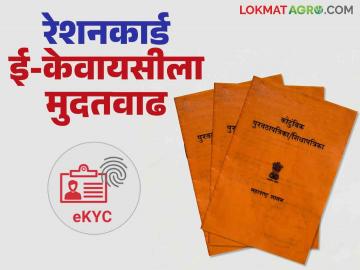 Ration Card E-kyc : ऐन  दिवाळीत रेशन कार्डधारकांना आता मिळणार ज्वारी ; या तारखेपर्यंत करा रेशनकार्डची इ- केवायसी वाचा सिवस्तर - Marathi News | Ration Card E-kyc : Do e-KYC scan of ration card by this date | Latest News at Lokmat.com