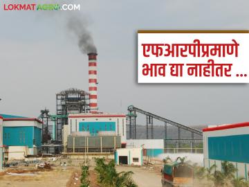 Sugarcane FRP 2024-25 : एफआरपीप्रमाणे भाव दिला नाही, तर कारखान्याचे धुराडे बंद; वाचा सविस्तर - Marathi News | Sugarcane FRP 2024-25 : If the price is not paid as per FRP, the sugarcane factory's will be closed; Read in detail | Latest News at Lokmat.com