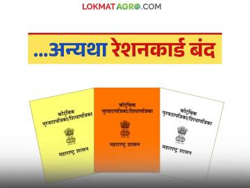 हा पुरावा देणे बंधनकारक नाहीतर रेशनकार्ड होणार बंद; राज्य शासनाचे आदेश - Marathi News | It is mandatory to provide this proof, otherwise the ration card will be closed; State government orders | Latest News at Lokmat.com
