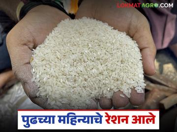 फेब्रुवारीचे धान्य रेशन दुकानांत पोहोचले; कार्डधारकांना कधीपासून आणि कोणकोणते धान्य मिळणार? - Marathi News | February's food grains have reached ration shops; When and what kind of food grains will cardholders get? | Latest News at Lokmat.com फेब्रुवारीचे धान्य रेशन दुकानांत पोहोचले; कार्डधारकांना कधीपासून आणि कोणकोणते धान्य मिळणार? - Marathi News | February's food grains have reached ration shops; When and what kind of food grains will cardholders get? | Latest News at Lokmat.com