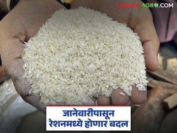 येत्या जानेवारीपासून रेशन धान्य वाटपात पुन्हा बदल; आता कुणाला मिळणार किती रेशन?