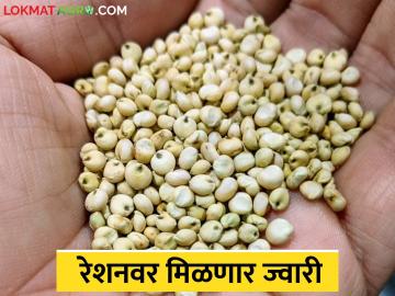 पुढील दोन महिने रेशनवर 'हे' पौष्टिक तृणधान्य मिळणार मोफत; जिल्हा पुरवठा अधिकाऱ्यांना सूचना - Marathi News | 'This' nutritious cereal will be available free of cost on ration for the next two months; Instructions to district supply officers | Latest News at Lokmat.com