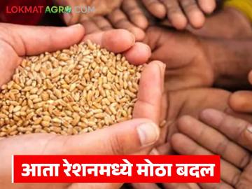 आता कोणीही धान्यापासून वंचित राहणार नाही; १ एप्रिलनंतर रेशनमध्ये होणार 'हे' मोठे बदल? - Marathi News | Now no one will be deprived of food grains; Will there be 'this' big change in ration after April 1? | Latest News at Lokmat.com