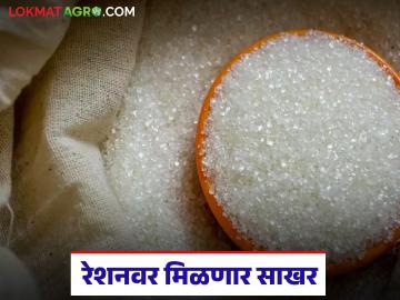 आता रेशनवर पुन्हा मिळणार साखर; राज्यातील 'या' रेशन कार्डधारकांना दीड वर्षानंतर साखरेचा लाभ - Marathi News | Now sugar will be available again on ration; 'this' ration card holders in the state will get sugar benefits after one and a half years | Latest News at Lokmat.com