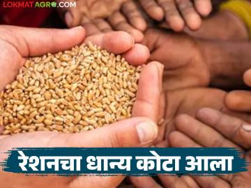 Ration Vatap : एप्रिल महिन्याचे ९० टक्के रेशन आले; रेशनकार्डवर कशाकशाचे वाटप होणार? - Marathi News | Ration Vatap : 90 percent of ration for April has arrived; What will be distributed on ration cards? | Latest farming-ideas News at Lokmat.com