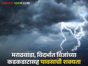 Maharashtra weather Update : मराठवाडा, विदर्भातील कोणत्या जिल्ह्यात विजांच्या कडकडाटासह पावसाची शक्यता वाचा आजचा IMD रिपोर्ट - Marathi News | Maharashtra Weather Update : Which district of Marathwada, Vidarbha is likely to receive rain with lightning? Read today's IMD report | Latest News at Lokmat.com Maharashtra weather Update : मराठवाडा, विदर्भातील कोणत्या जिल्ह्यात विजांच्या कडकडाटासह पावसाची शक्यता वाचा आजचा IMD रिपोर्ट - Marathi News | Maharashtra Weather Update : Which district of Marathwada, Vidarbha is likely to receive rain with lightning? Read today's IMD report | Latest News at Lokmat.com