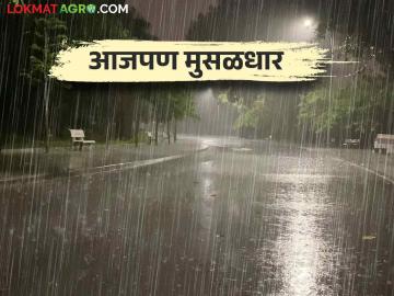 Maharashtra Weather Update: राज्यात आज या जिल्ह्यांत रेड अलर्ट - Marathi News | Maharashtra Weather Update: Red alert in these districts in the state today | Latest News at Lokmat.com