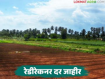 आर्थिक वर्ष २०२६-२७ साठी रेडीरेकनर दर जाहीर; ग्रामीण व शहरी भागासाठी काय ठरला दर? - Marathi News | Ready reckoner rates announced for the financial year 2026-27; What is the percentage rate for rural and urban areas? | Latest News at Lokmat.com