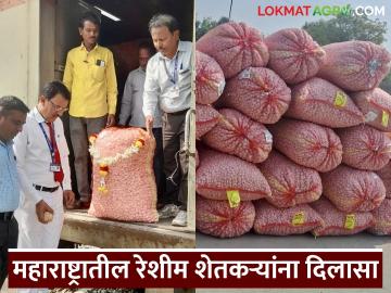 महाराष्ट्रातील शेतकऱ्यांना दिलासा, मध्य रेल्वेच्या विशेष ट्रेनद्वारे रेशीम कोष थेट रामनगरम मार्केटपर्यंत - Marathi News | Latest news Relief for farmers in Maharashtra, Silkworms transported directly to Ramanagaram market by special train of Central Railway | Latest News at Lokmat.com