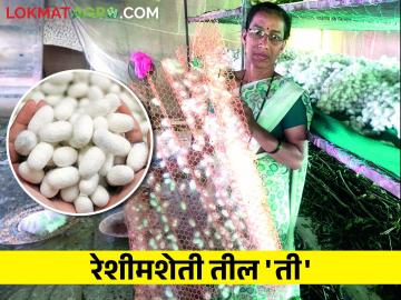 रेशीम उद्योगात महिलांना आदर्श ठरणारी रेशीम 'प्रतिभा' आहे तरी कोण? - Marathi News | Who is the role model silk talent for women in the silk industry? | Latest News at Lokmat.com