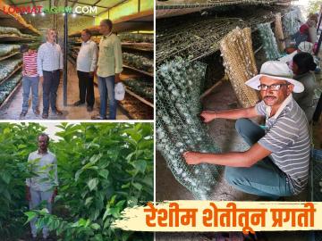 Reshim Sheti Success Story : रेशीम व्यवसायातून हा जिगरबाज युवा शेतकरी महिन्याला घेतोय एक लाखाचा पगार - Marathi News | Reshim Sheti Success Story : This energetic young farmer is earning a salary of one lakh rupees per month from the silk business | Latest News at Lokmat.com