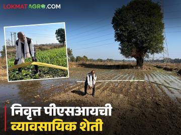 निवृत्त पीएसआयची वैविध्यपूर्ण शेती, आता निवृत्तीनंतरही सहा लाखांचे उत्पन्न, वाचा सविस्तर 