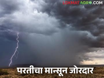 Maharashtra Weather Update : परतीच्या मान्सूनचा प्रवास लांबला राज्यात या ठिकाणी जोरदार बरसणार - Marathi News | Maharashtra Weather Update : The journey of the return monsoon is long the state will heavy rains in this place | Latest News at Lokmat.com